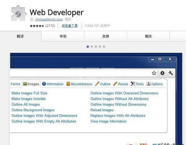 Web Developer(Chrome Web开发工具插件)