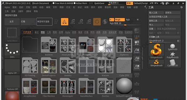 Pixologic Zbrush 2021三维雕刻建模软件