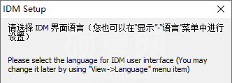 Internet Download Manager中文版