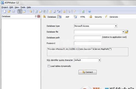 ASPMaker下载_ASPMaker(ASP自动生成) 12 中文汉化注册版