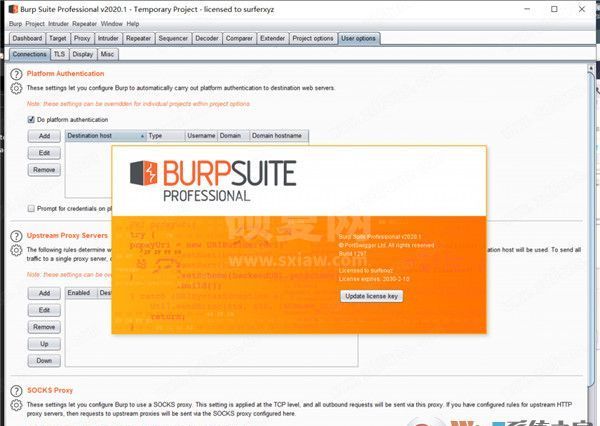 burpsuite破解版下载_BurpSuite v2020汉化破解版