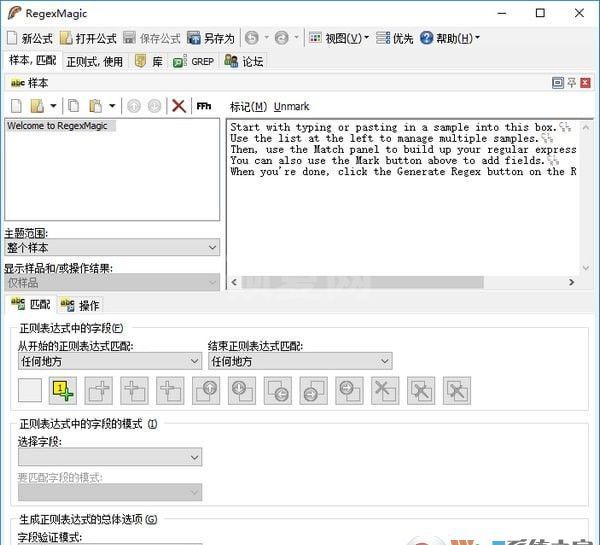 正则表达式生成器下载_RegexMagic(正则表达式生成软件)中文标准版
