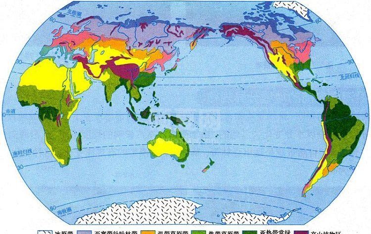 世界气候类型分布图高清地图下载|世界气候类型分布图大全