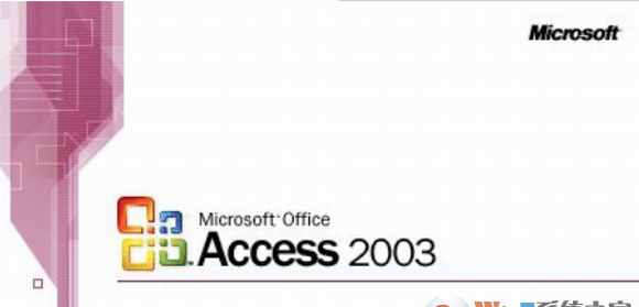 Access2003(数据库管理软件)