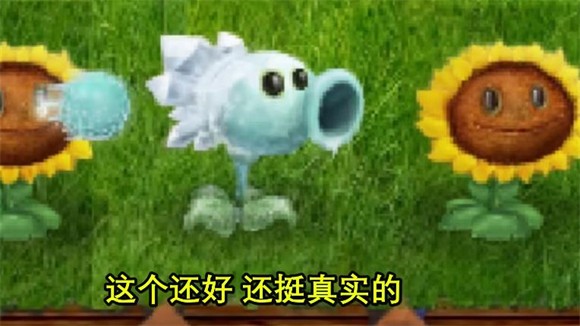 植物大战僵尸现实版