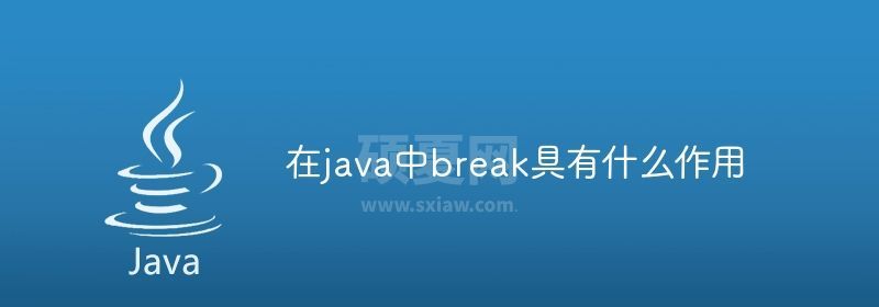 在java中break具有什么作用