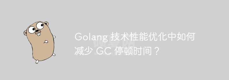 Golang 技术性能优化中如何减少 GC 停顿时间？