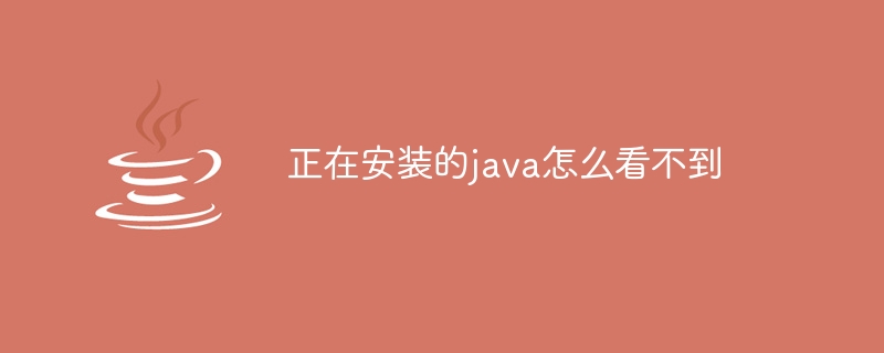 正在安装的java怎么看不到