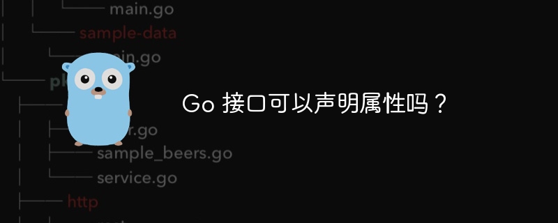 Go 接口可以声明属性吗？