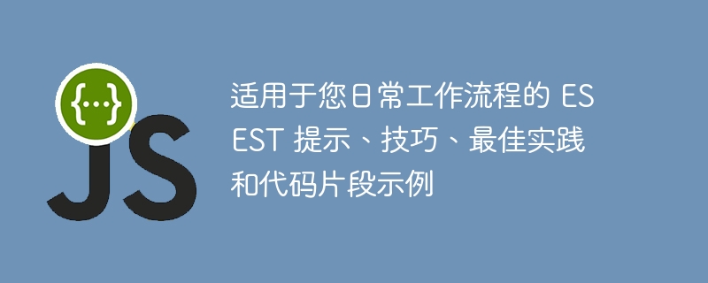 适用于您日常工作流程的 esest 提示、技巧、最佳实践和代码片段示例