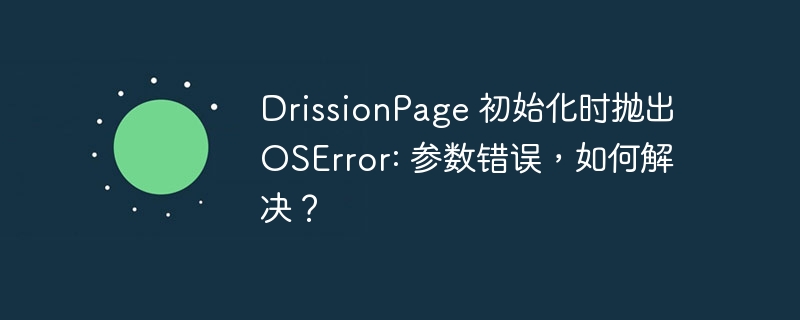 DrissionPage 初始化时抛出 OSError: 参数错误，如何解决？