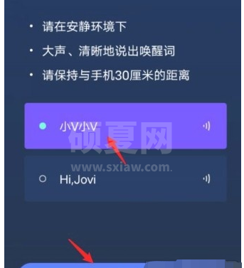 vivos9如何开启小v智能语音助手 vivos9开启小v智能语音助手方法截图