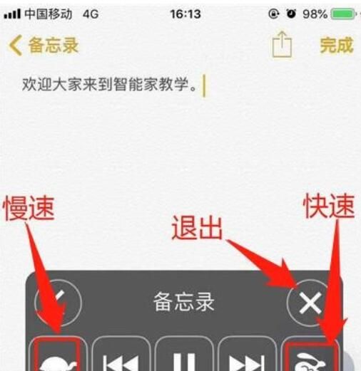 iphone11朗读屏幕的方法步骤截图