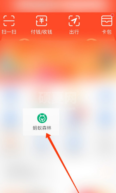 支付宝蚂蚁森林怎么给好友发爱心红包 支付宝蚂蚁森林给好友发爱心红包的操作方法截图