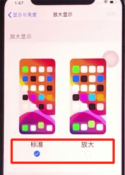 iphone11更改图标大小基本方法截图