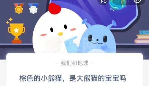 棕色的小熊猫，是大熊猫的宝宝吗?支付宝蚂蚁庄园4月29日答案