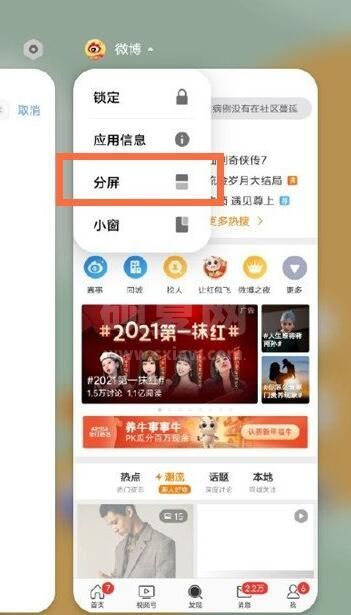 vivos9怎么分屏 vivos9分屏功能使用方法截图