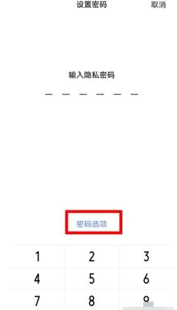 vivos9微信手势密码在哪里设 vivos9微信手势密码设置教程截图