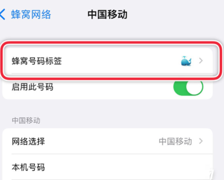 iPhone13promax如何设置主卡副卡?iPhone13promax主卡副卡设置步骤介绍截图