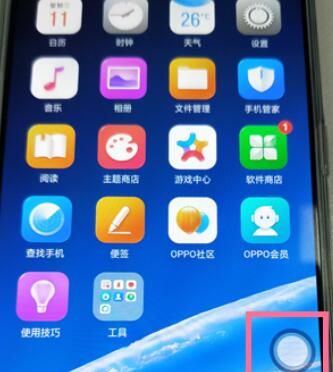 realme Q开启悬浮球的方法步骤截图