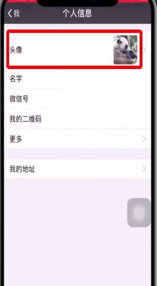 微信中查看恢复以前的头像的操作步骤截图