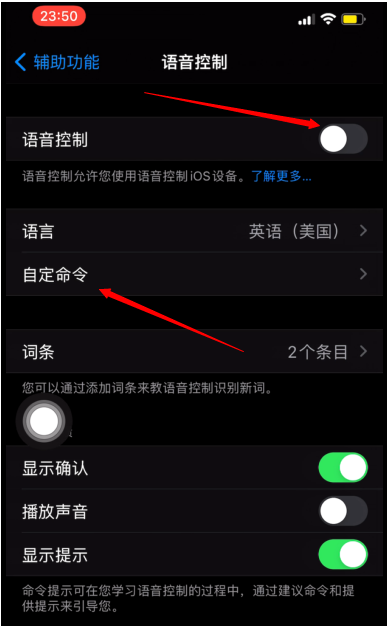 iPhone手机怎样设置语音拍照?iPhone手机语音拍照教程截图