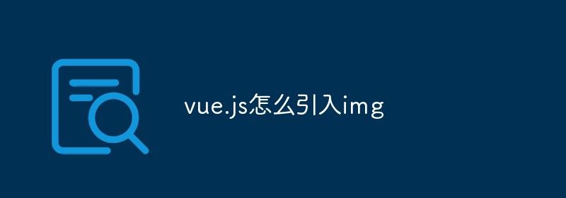 vue.js怎么引入img