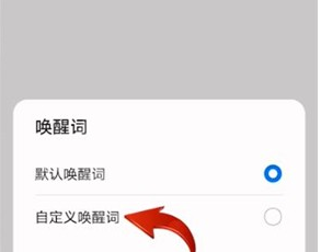 华为mate40e语音唤醒如何改名字?华为mate40e语音唤醒改名字方法截图