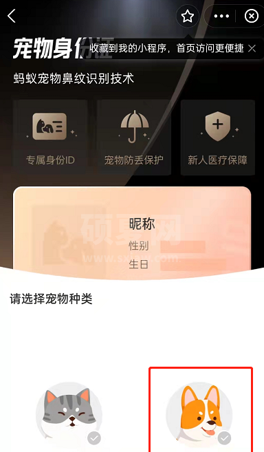 支付宝怎么领取宠物身份证？支付宝获取宠物身份证教程一览截图