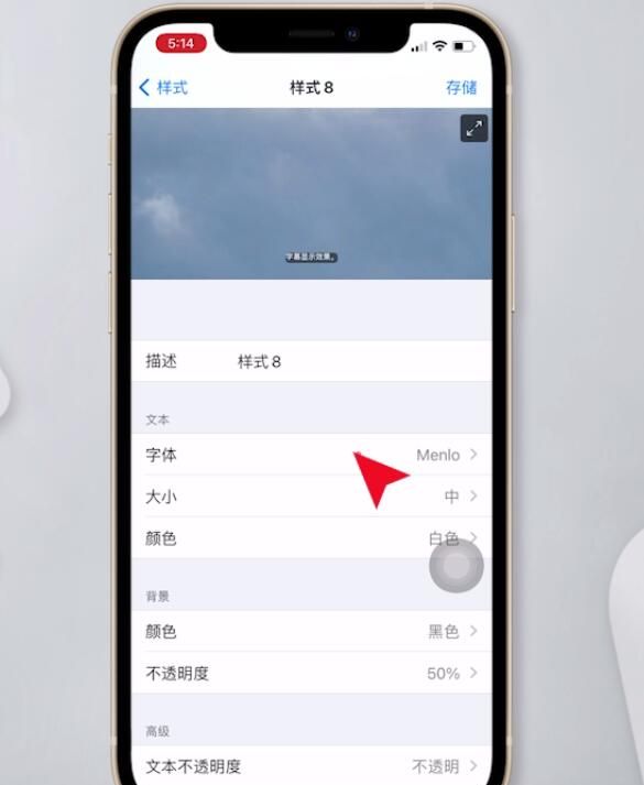 苹果手机如何设置字体样式?苹果手机更改字体教程介绍截图