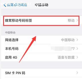 iPhoneXR中设置双卡标签的详细步骤截图