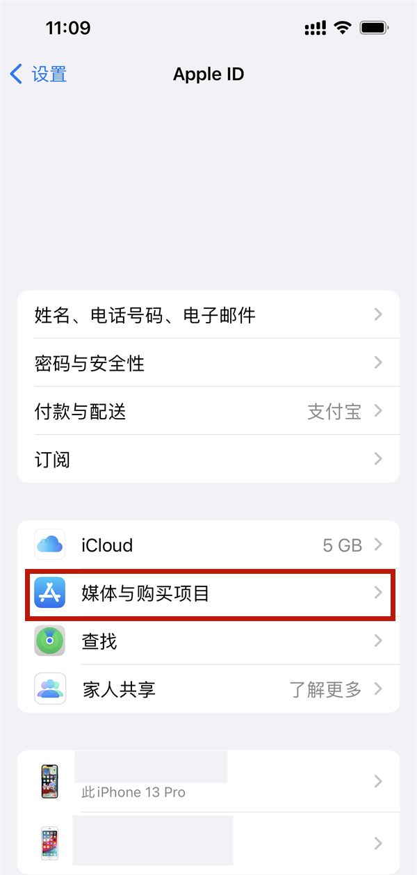 iPhone如何关闭ipad软件同步下载？iPhone禁止ipad同步软件教程一览截图