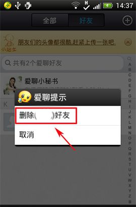 爱聊APP将好友删掉的操作过程截图