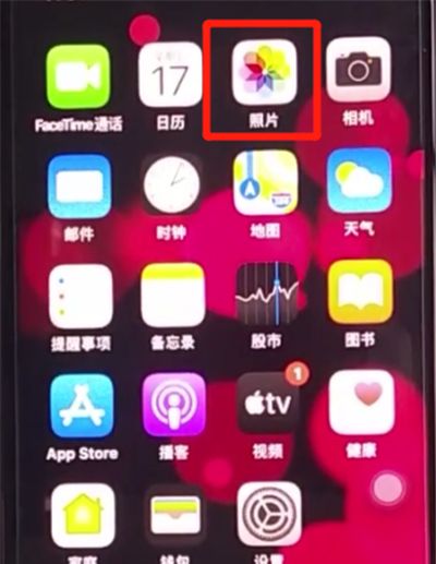 iphone11中恢复被删除照片的方法步骤截图