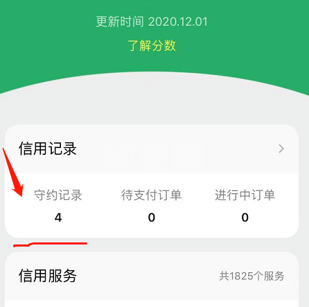 微信怎么查看支付分守约记录？微信查看支付分守约记录教程截图