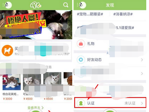 握爪宠物申请认证的简单操作截图