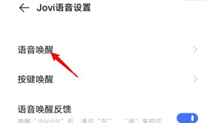 vivos9如何开启小v智能语音助手 vivos9开启小v智能语音助手方法截图