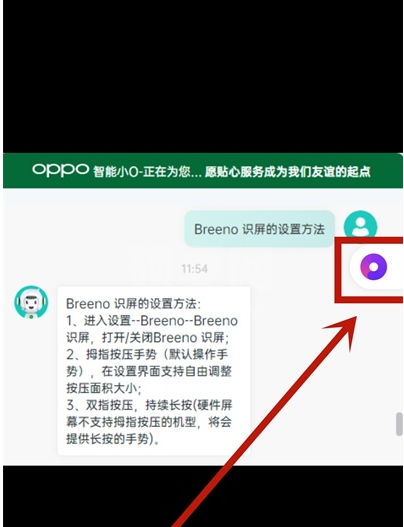 opporeno5pro如何提取文字 opporeno5pro提取文字教程截图