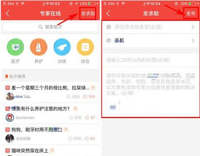 有宠app发布求助的操作过程截图