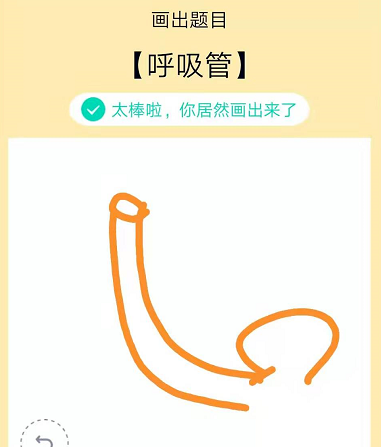 QQ画图红包呼吸管的方法教程截图