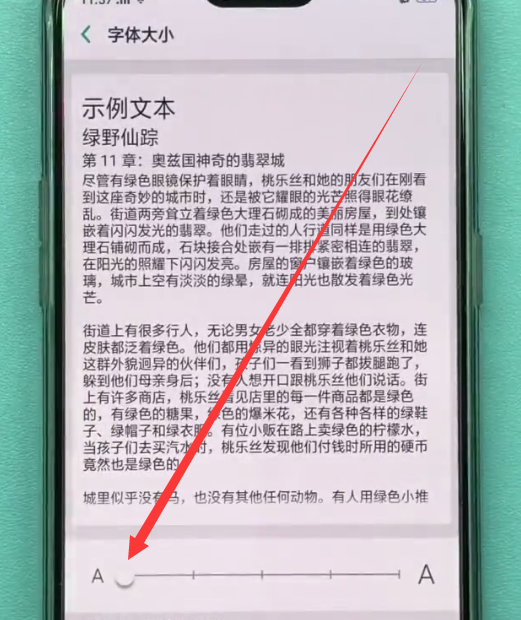 oppo手机调大字体的具体步骤截图