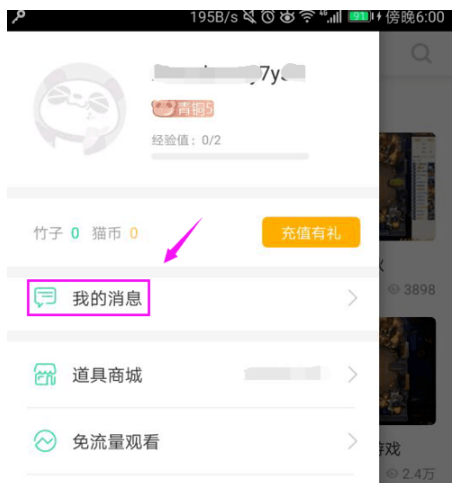 熊猫APP中拒绝私信的具体操作步骤截图