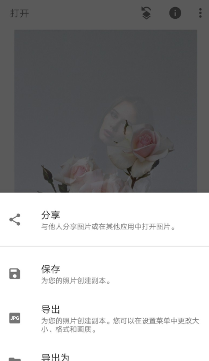 snapseed中制作出双重曝光效果的具体讲解截图