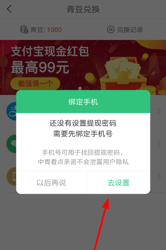 在中青看点中提现收益的方法介绍截图