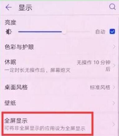 华为畅享9plus设置全屏的操作过程讲述截图