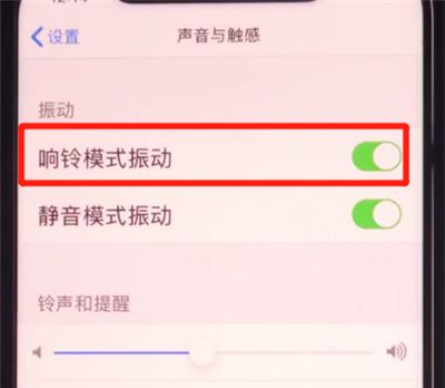 iphone11关闭响铃振动的方法步骤截图