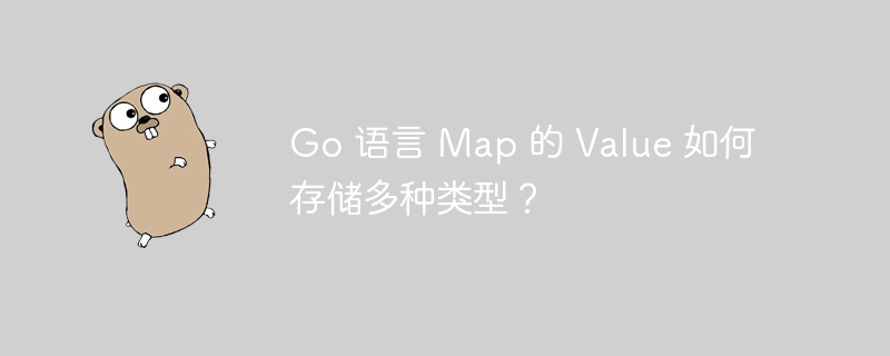 Go 语言 Map 的 Value 如何存储多种类型？