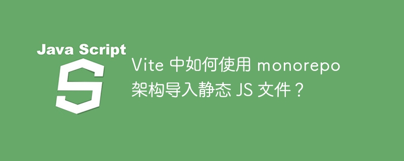 Vite 中如何使用 monorepo 架构导入静态 JS 文件？