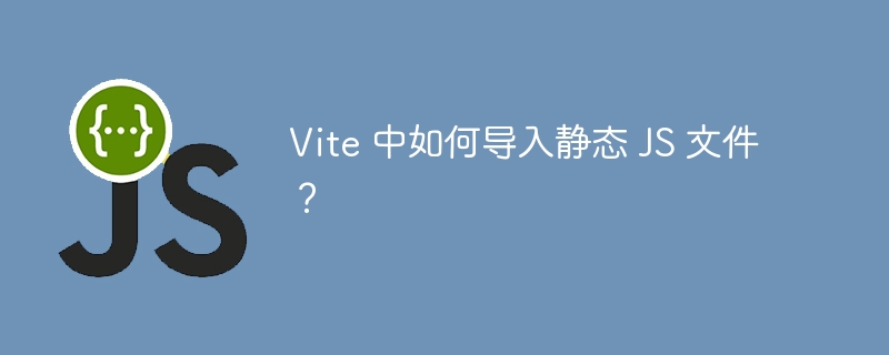 Vite 中如何导入静态 JS 文件？