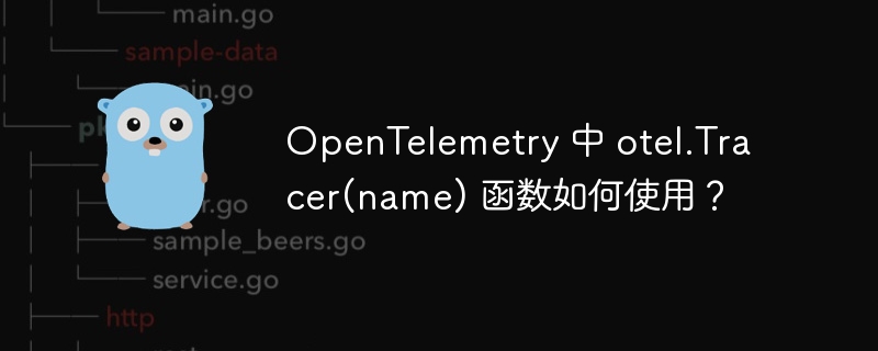 OpenTelemetry 中 otel.Tracer(name) 函数如何使用？